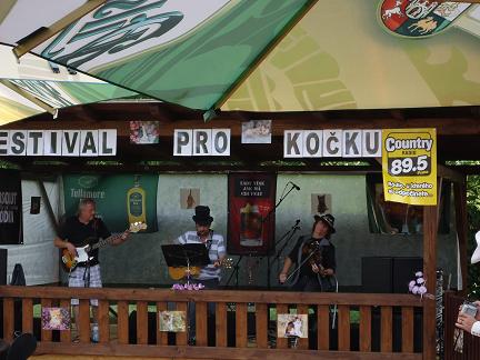 Festival pro kočku